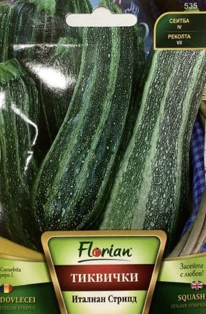 Cukkini Italian Striped Florian Bg