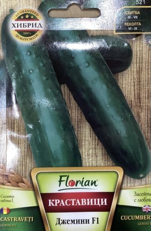 Uborka Gemini F1 Florian Bg