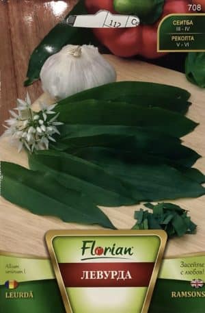 Medvehagyma Florian Bg