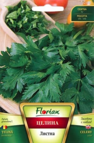 Zellerlevél Leaf Florian Bg