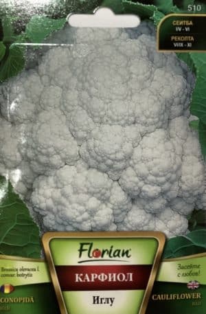 Karfiol Iglu Florian Bg