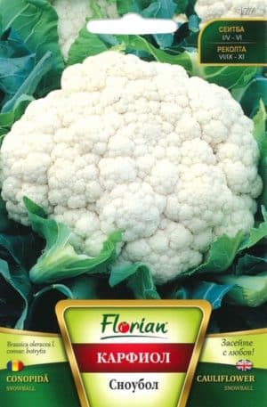 Karfiol Snowball Florian Bg
