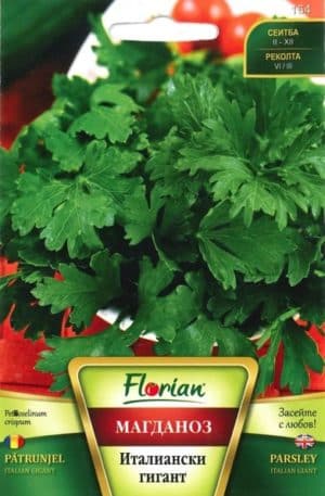 Petrezselyemzöld Italian Giant Florian Bg
