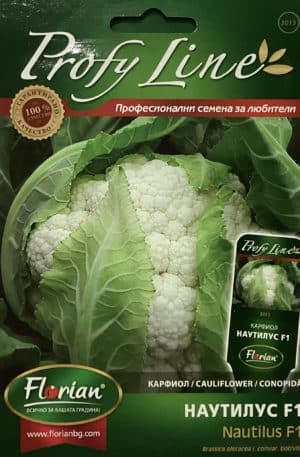 Karfiol Nautilus F1 Profy Line Florian Bg