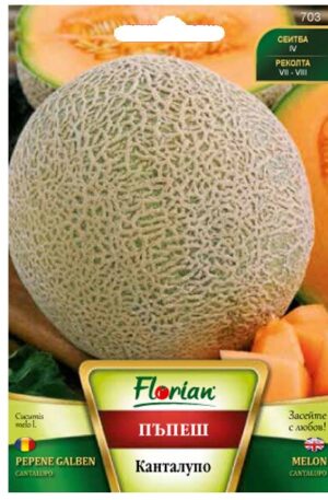 Sárgadinnye Cantalupo Florian Bg