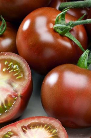 Brunito F1 B-S Paradicsom