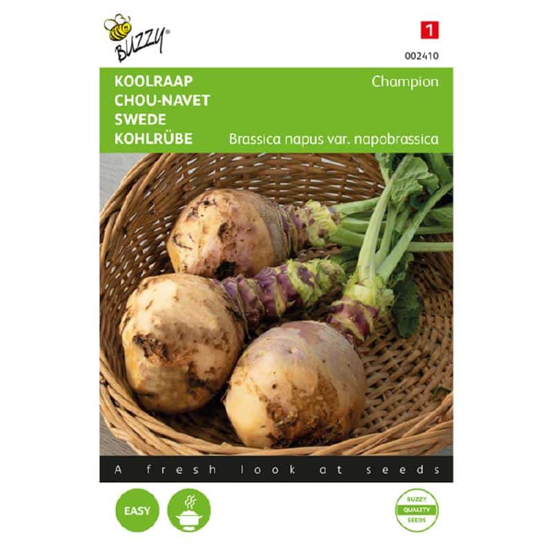 Karórépa Champion Bz H