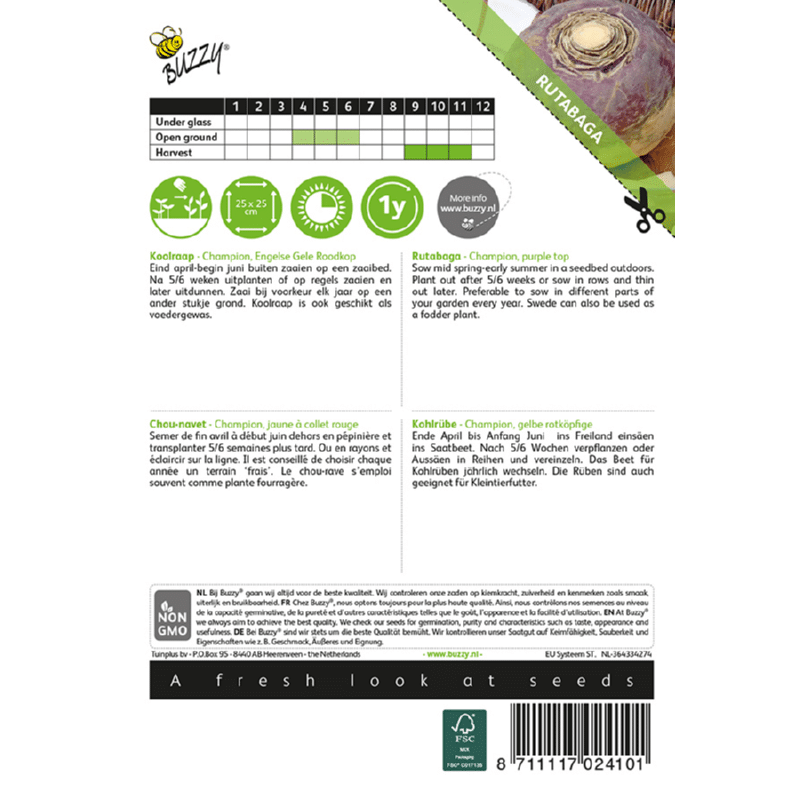 Karórépa Champion Bz H - Image 2