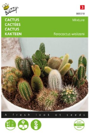 Kaktusz Mix Bz H