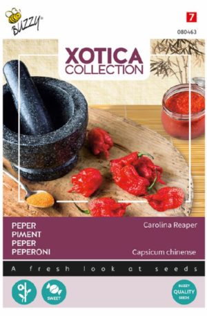 Paprika Carolina Reaper Bz-Xotica H