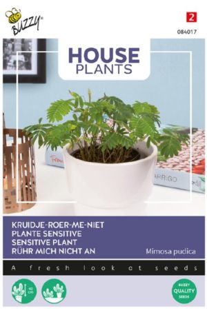 Szemérmes mimóza Bz-House H