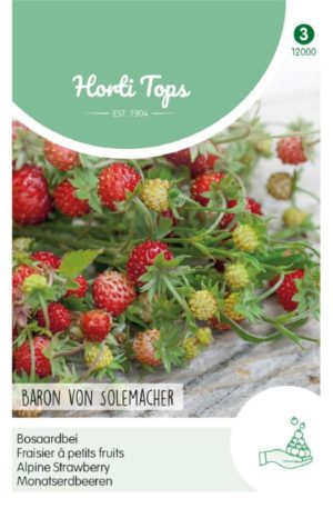 Szamóca Baron von Solemacher Ht H