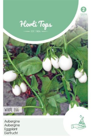 Padlizsán White Egg Ht H