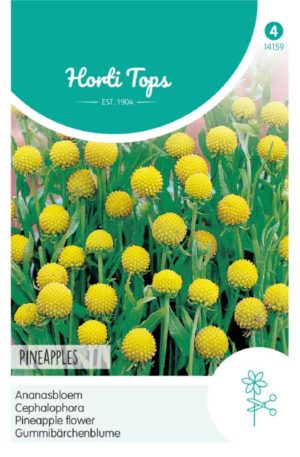 Ananászvirág Pineapples Ht H