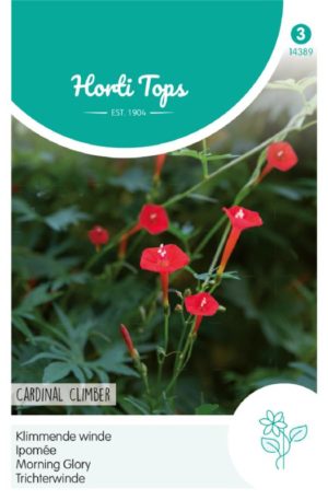 Szárnyalt Csodahajnalka Cardinal Climber Ht H