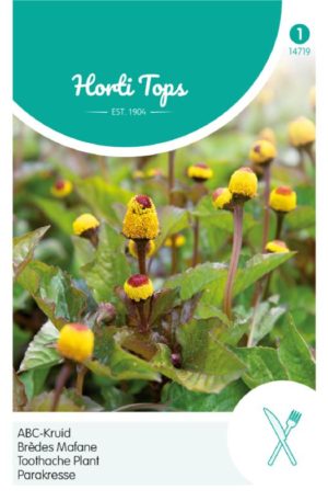 Iskolavirág ABC-Kruid Ht H