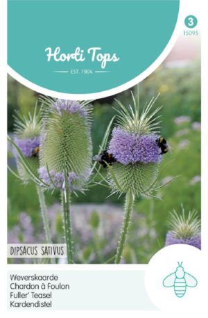 Takácsmácsonya Doipsacus Sativus Ht H