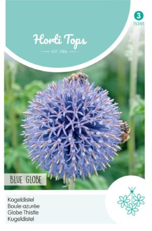 Kék szamárkenyér Blue Globe Ht H