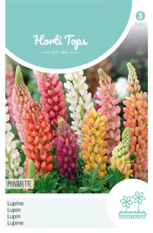 Erdei csillagtűrt mix Minarette Ht H