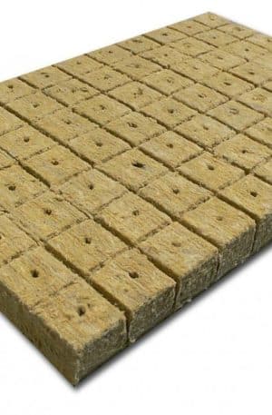 Tym magvető elem 25x25 mm 50 db/ csomag