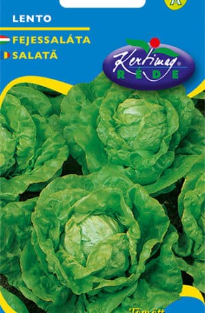 Saláta Lentó Fejessaláta Pannon RK