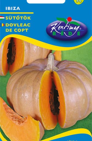 Sütőtök Ibiza Pannon RK
