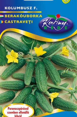 Uborka Kolumbusz F1 Pannon RK