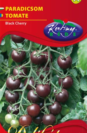 Paradicsom Black cherry Delikátesz RK