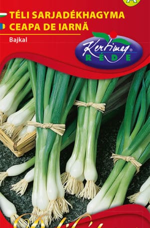 Hagyma Bajkal Téli sarjadékhagyma Delikátesz RK