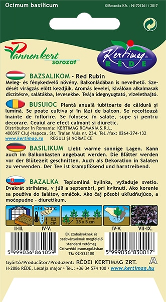 Bazsalikom Red Rubin Pannon RK - Image 2