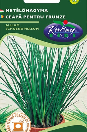 Metélőhagyma Pannon RK