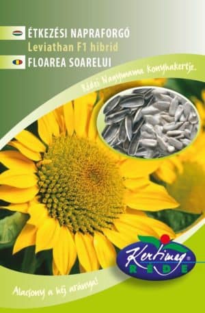 Napraforgó Leviathan F1 Nagymama kertje RK