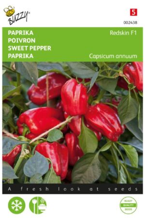 Paprika Redskin F1  (Paragon) Bz H