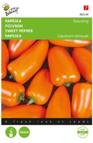 Paprika Snacking mini orange Bz H