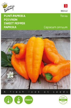 Paprika Timia Orange Bz H