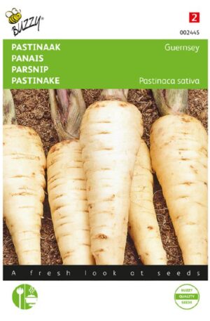 Pasztinák Guernsey Bz H