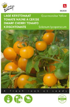 Paradicsom Gourmandise cherry Bz H