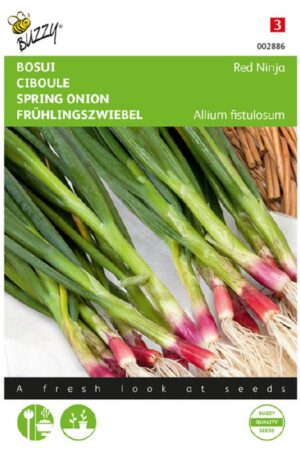 Hagyma Red Ninja Bz H