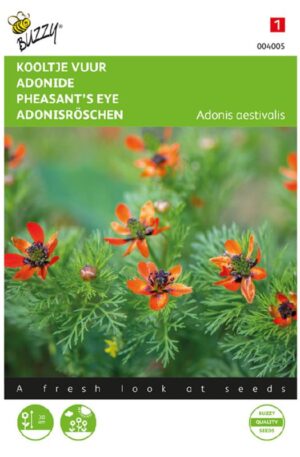 Nyári hérics (Adonis aestivalis) Bz H