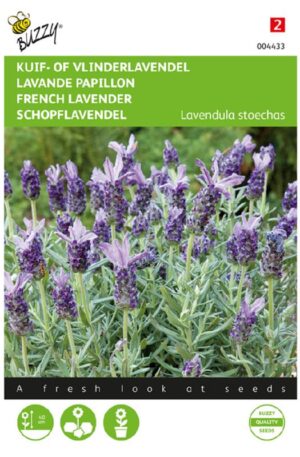 Francia Levendula Bz H