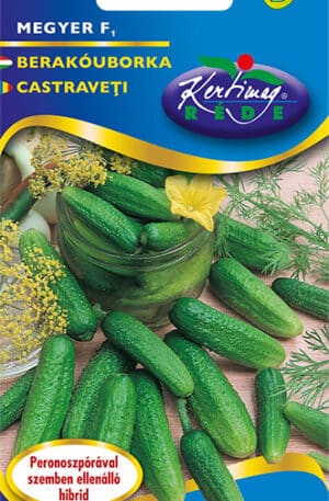 Uborka Megyer F1 Pannon RK