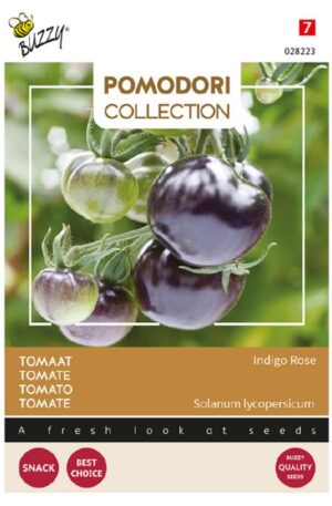 Paradicsom Indigo rose (black) Bz Pomodori Collection H
