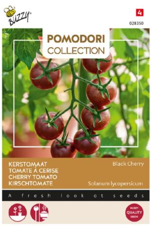 Paradicsom Black Cherry Pomodori Collection Bz H