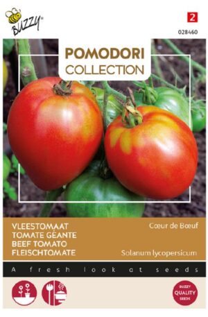 Paradicsom Cœur de Bœuf Ox Heart Pomodori Collection Bz H