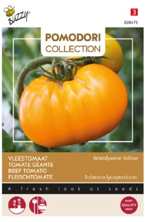 Paradicsom Brandywine Yellow Pomodori Collection Bz H
