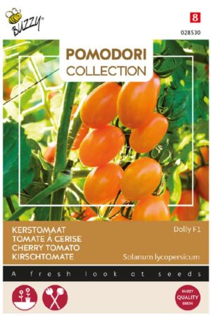 Paradicsom Dolly F1 Bz Pomodori Collection H