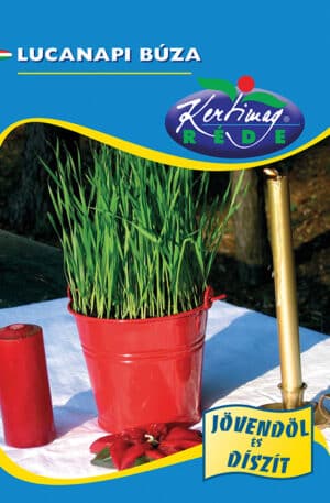 Lucanapi búza RK