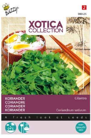 Koriander Xotica Bz H