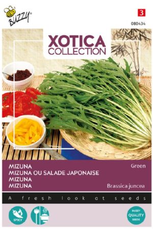 Mizuna Mustárspenót Xotica Bz H