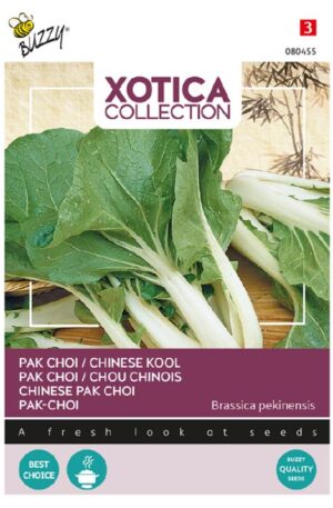 Pak Choi Xotica Bz H